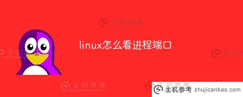 linux如何查看进程端口（linux如何查看进程端口号）
