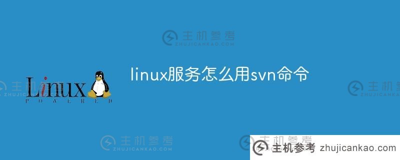 如何为linux服务使用svn命令（linux svn gui）