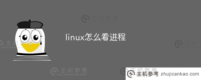 linux如何看到进程(Linux如何看到哪个进程正在运行)
