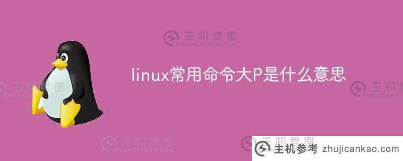 常用的Linux命令“大P”是什么意思？