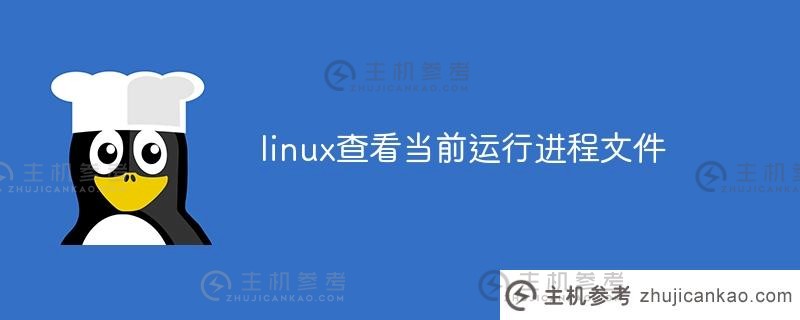 在 Linux 上显示当前正在运行的进程文件（Show current processs on Linux）