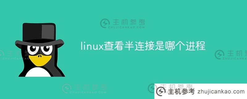 Linux检查准连接是哪个进程（Linux检查链接地址）。