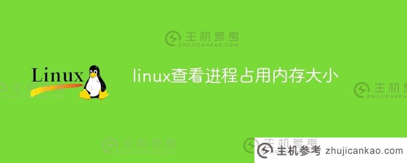 查看Linux上进程占用的内存