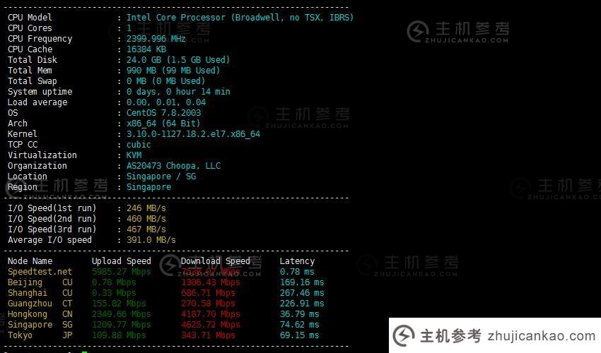 Vultr新加坡VPS服务器性能测试