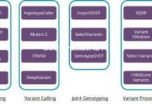 AI,加速计算推动医疗个体化转型 - 主机参考VPS测评_主机参考