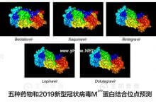 超大规模计算辅助抗疫进展 —— 多家科研机构联合筛选出五种可能有效的抗病毒药物 - 主机参考VPS测评_主机参考