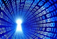 外贸公司租用托管服务器需要注意什么? - 便宜vps优惠码,免费免备案vps服务器_主机参考