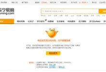 苏宁服务器现短时异常,内部人士称系统升级调整_主机参考