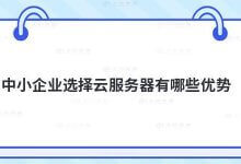 中小企业选择云服务器有什么优势?_主机参考