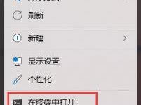 Win11系统自带检测功能。Win11自带检测工具(Win11检测工具)的使用方法有哪些_主机参考