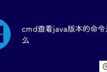 cmd检查java版本的命令是什么(cmd检查java版本)_主机参考
