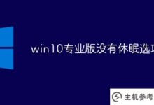 Win10 Professional没有休眠选项(如果win10 Professional没有休眠选项怎么办)_主机参考