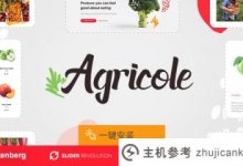 10个实用的wordpress主题网站模板(源代码免费下载)(WordPress主题主页)_主机参考