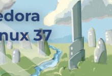 Dora Linux 37正式版预计11月15日发布。_主机参考