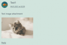 WooCommerce评论打印插件-DCO评论附件_主机参考