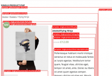 WooCommerce模板提示——WooCommerce模板提示_主机参考