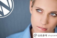 为wordpress文章作者评论消息显示“文本作者”提示(WordPress不能评论)_主机参考