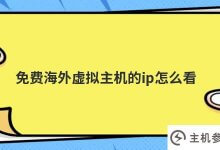 免费海外虚拟主机的ip(虚拟主机的IP地址)呢_主机参考