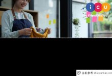 企业应如何利用好?icu域名?(ICU域名)_主机参考