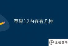 苹果12内存有多少种?_主机参考
