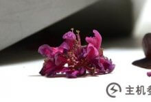 修改WordPress用户ID_主机参考