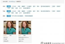 本网站开发的WordPress多条件过滤插件& # 8211；Wizhi多重滤镜_主机参考