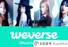 如何注册weverse (Weverse最全注册教程)(weverse店铺注册教程)_主机参考