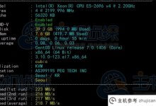 RAKsmart韩国云服务器精品网络(韩国vps国外服务器)的线速和性能评测_主机参考