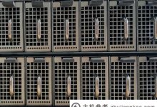 服务器停止响应是什么意思?(Web服务器停止响应是什么意思?)_主机参考