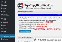 WordPress博客防复制插件WP-CopyRightPro_主机参考