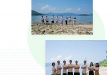 不编程可以学习WordPress吗?_主机参考