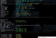 RAKsmart德国云服务器国际BGP线的速度和性能评估_主机参考