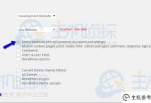 如何使用WordPress临时自定义推送选项?_主机参考