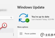 DesktopWindowXamlSource出现在Windows 11/10的任务栏上。_主机参考