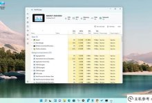 Windows 11有一个平滑设计的新任务管理器,这是你可以在Insider程序中尝试的东西。_主机参考
