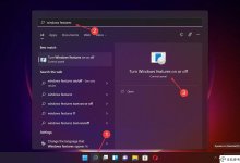在您的电脑上启用的6项最佳Windows 11可选功能_主机参考