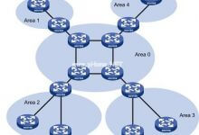 动态路由OSPF基础,区域划分,LSA类型,一分钟了解下_主机参考