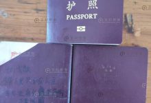 聊点别的，肺炎我已经损失十多万，可能最终损失约50万+_主机参考