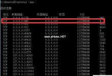 netstat 查看网络_主机参考